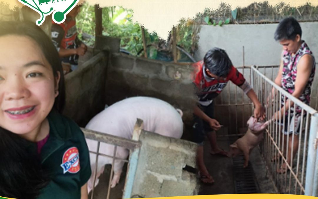 Excel Feeds conducted Vet mission to support Batac, Agrivet at Batac Ilocos Norte