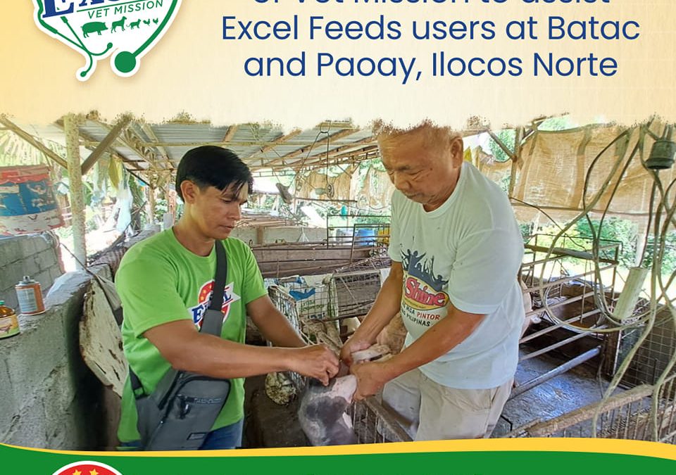 Excel Feeds regularly conduct Vet Mission to assist Excel Feeds users at Batac and Paoay, Ilocos Norte