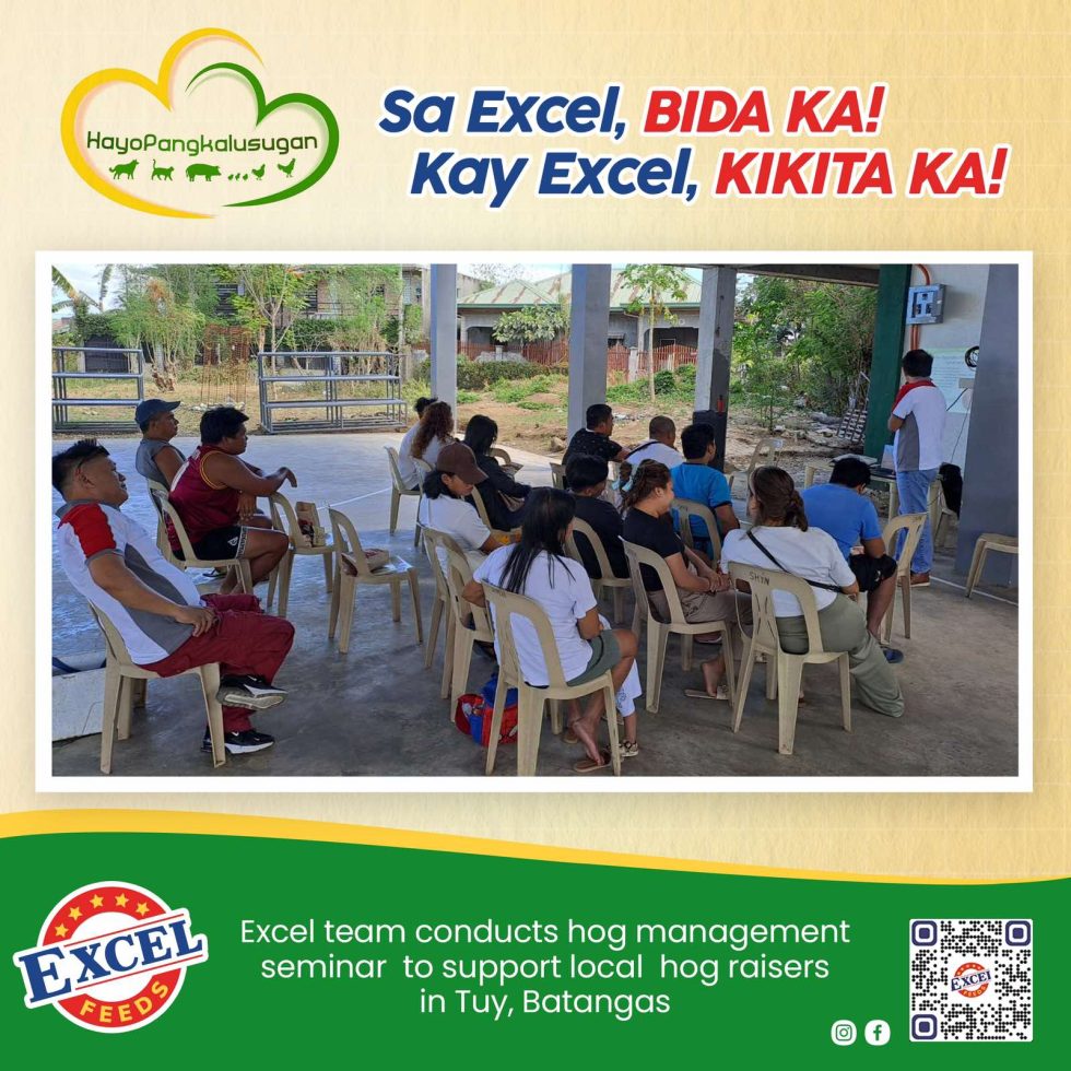 Excel Team Conducts Hog Management Seminar to Support Local Hog Raisers ...