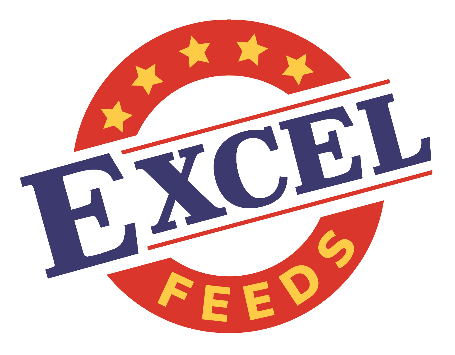 Excel Feeds