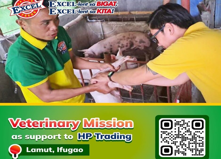 Veterinary Mission: Suporta sa HP Agri Trading, Lamut, Ifugao.