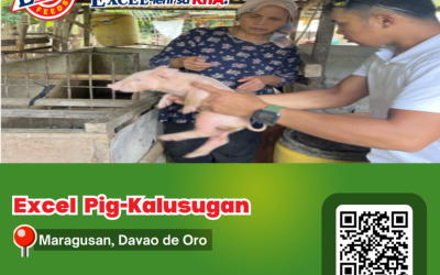 Pig-Kalusugan sa Maragusan