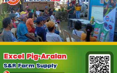 PIG-Aralan sa Dagup, Baranggay Hall,