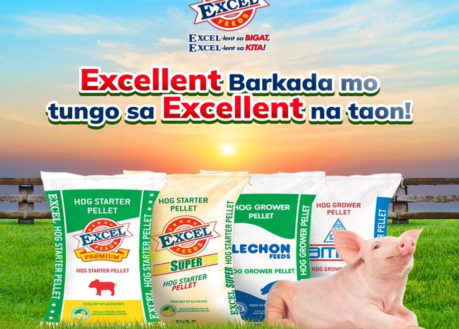 Pagtugon sa Pagkain ng Baboy sa Matinding Init