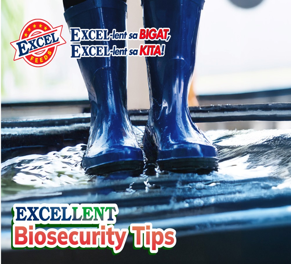 biosecurity program para sa baboy