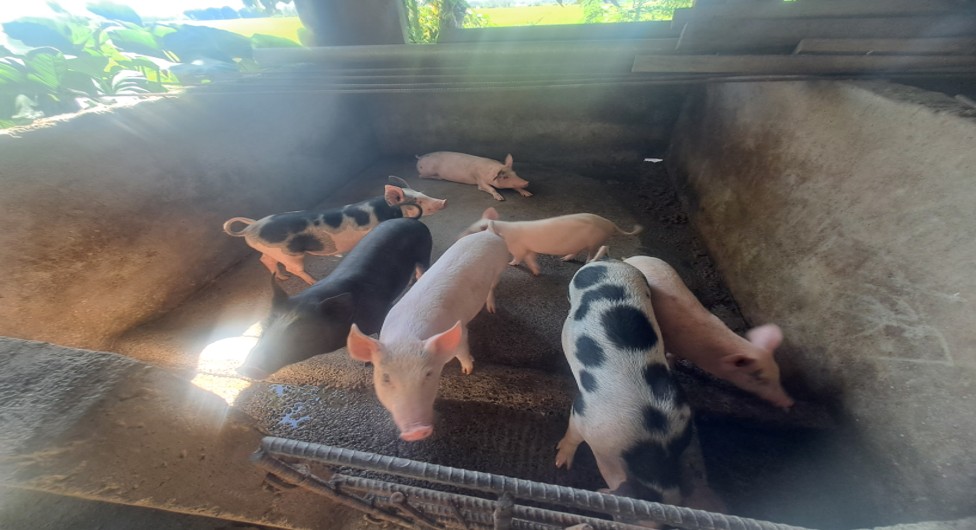 Panatilihing Tuyo at Ligtas ang Kulungan