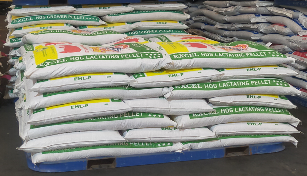 Siguraduhing maayos at tuyo ang bodega ng feeds