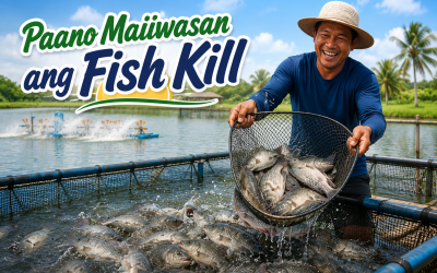 Tips Para Maiwasan ang Fish Kill sa Palaisdaan